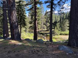 Steps from Upper Truckee River 15 Min to Heavenly - Image 2